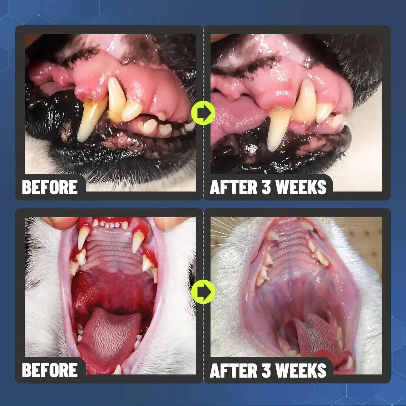 ⏳🔥Dental Spray - Stop Bad Breath & Tartar at the Source