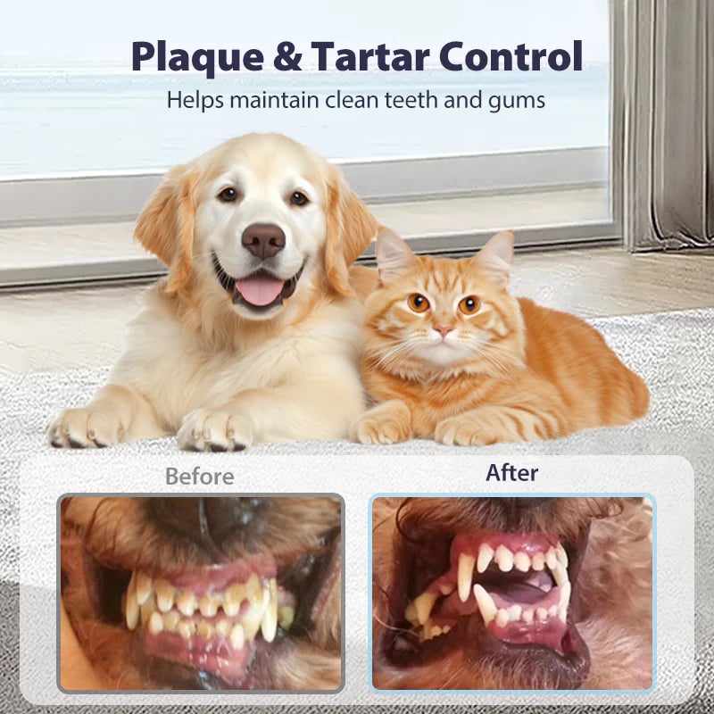 ⏳🔥Dental Spray - Stop Bad Breath & Tartar at the Source